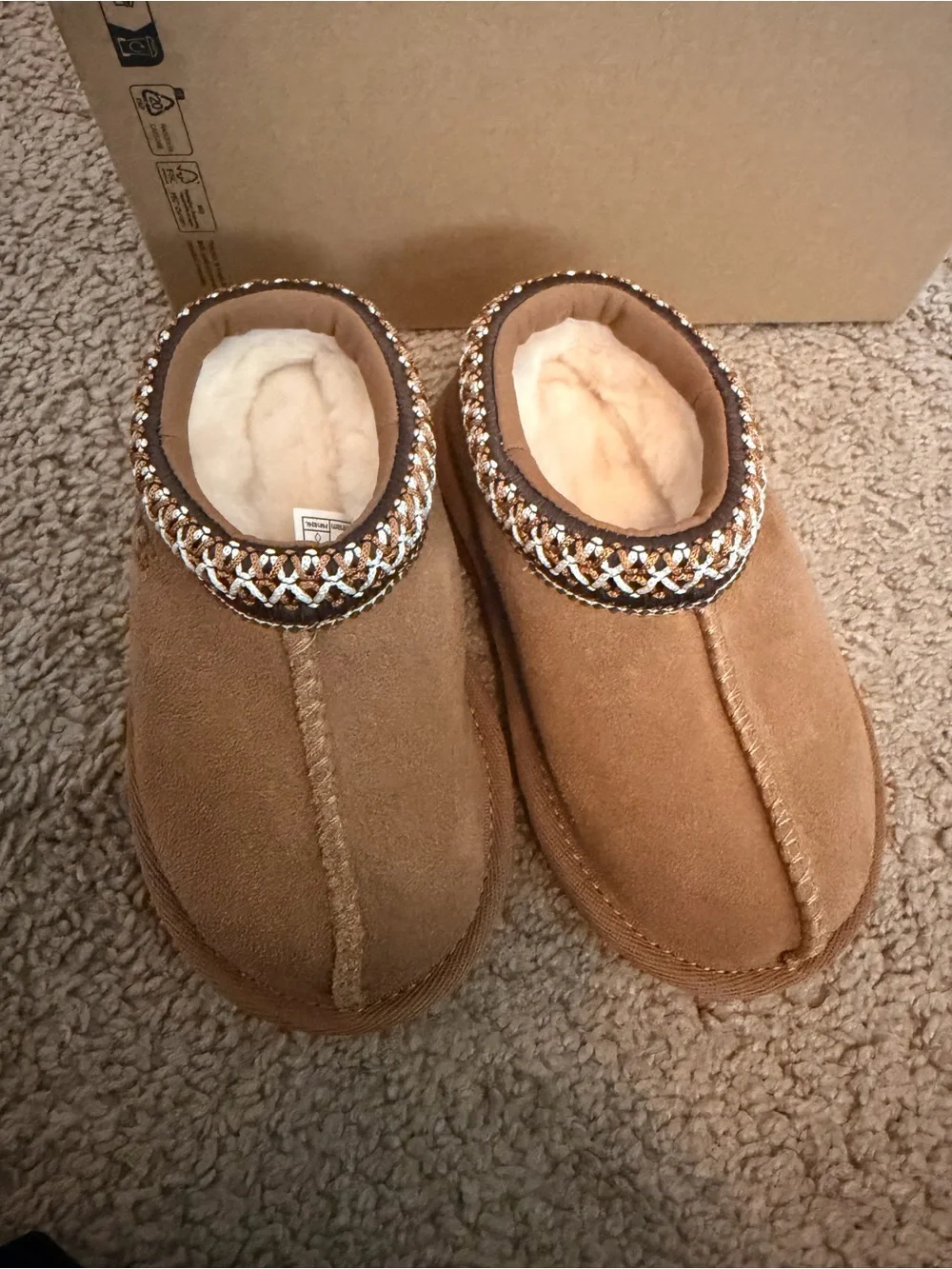 UGG Chestnut Tasman II Suede Slip-On Clog